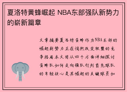 夏洛特黄蜂崛起 NBA东部强队新势力的崭新篇章