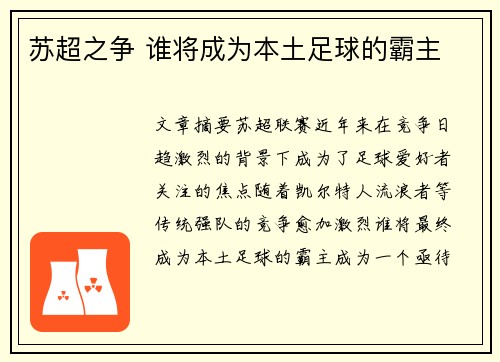 苏超之争 谁将成为本土足球的霸主
